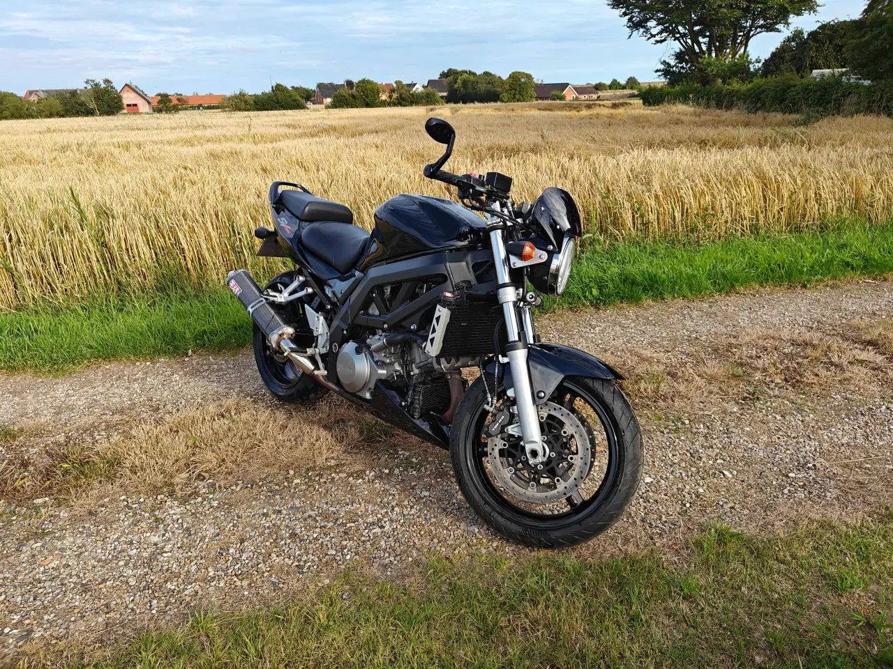 Billede 6 - Suzuki SV1000