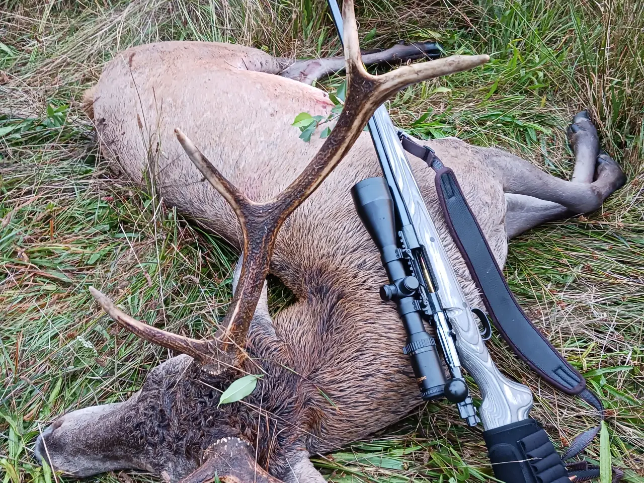 Billede 2 - Mauser k98 med Otterup pibe.