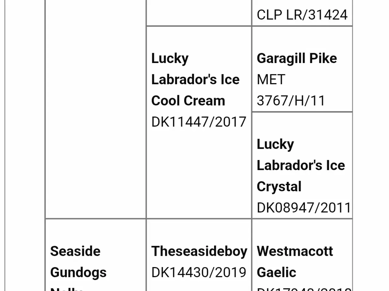 Billede 4 - Labrador Retriever jagthvalpe med DKK stamtavle –