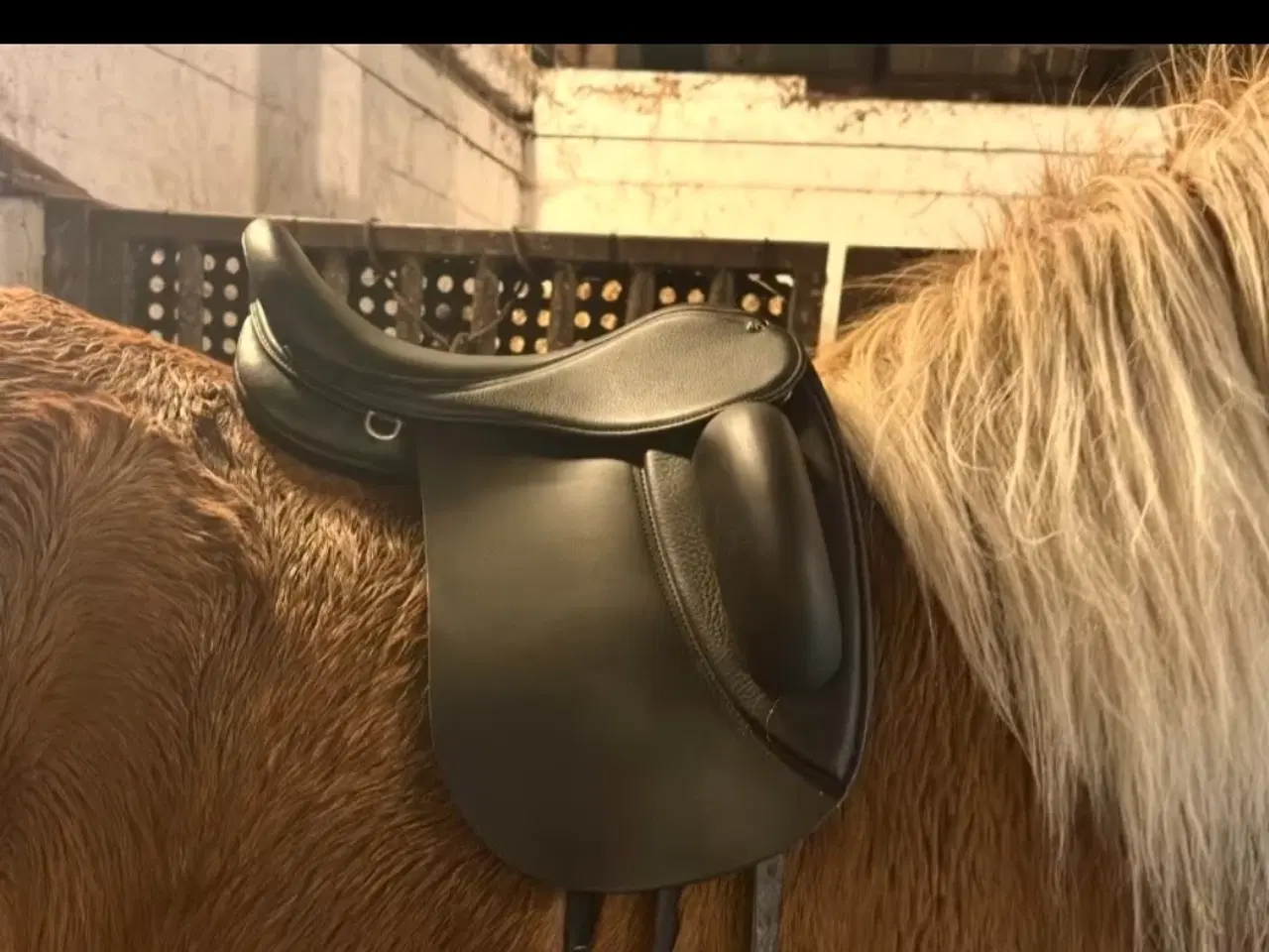 Billede 1 - Ny Tøltsaga Perfect sadel