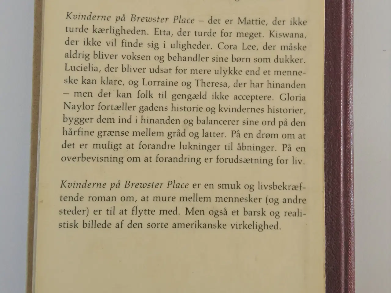 Billede 2 - Kvinderne på Brewster Place. Af Gloria Naylor