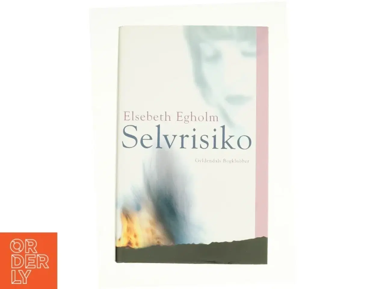 Billede 1 - Selvrisiko af Elsebeth Egholm (Bog)