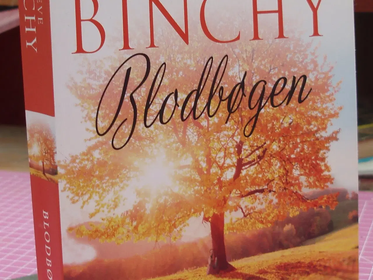 Billede 1 - Blodbøgen af Maeve Binchy