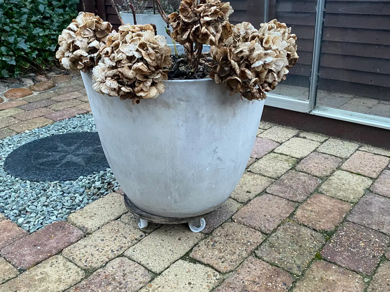 Billede 6 - GRATIS - krukker kan afhentes