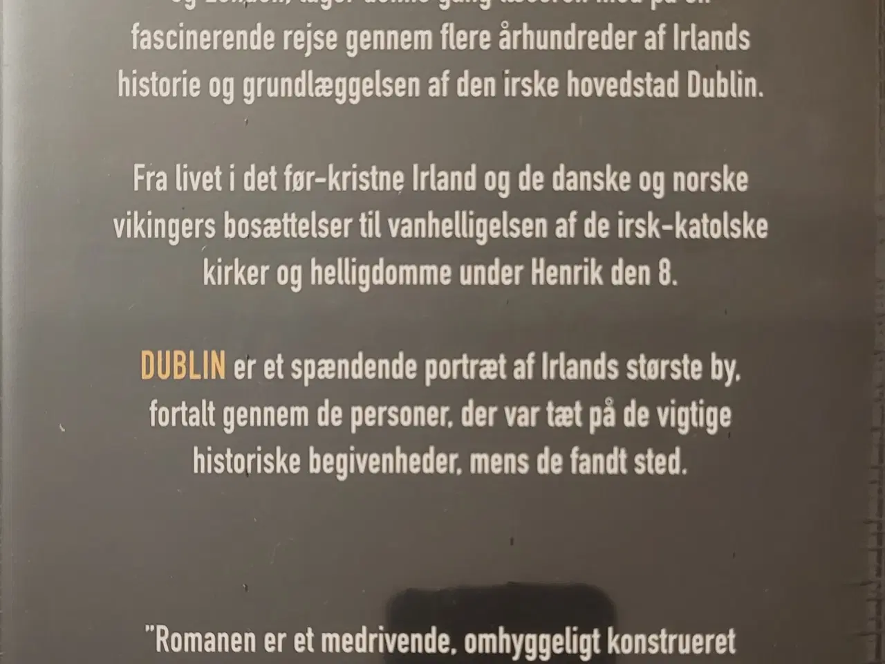 Billede 2 - Dublin - Edward Rutherfurd