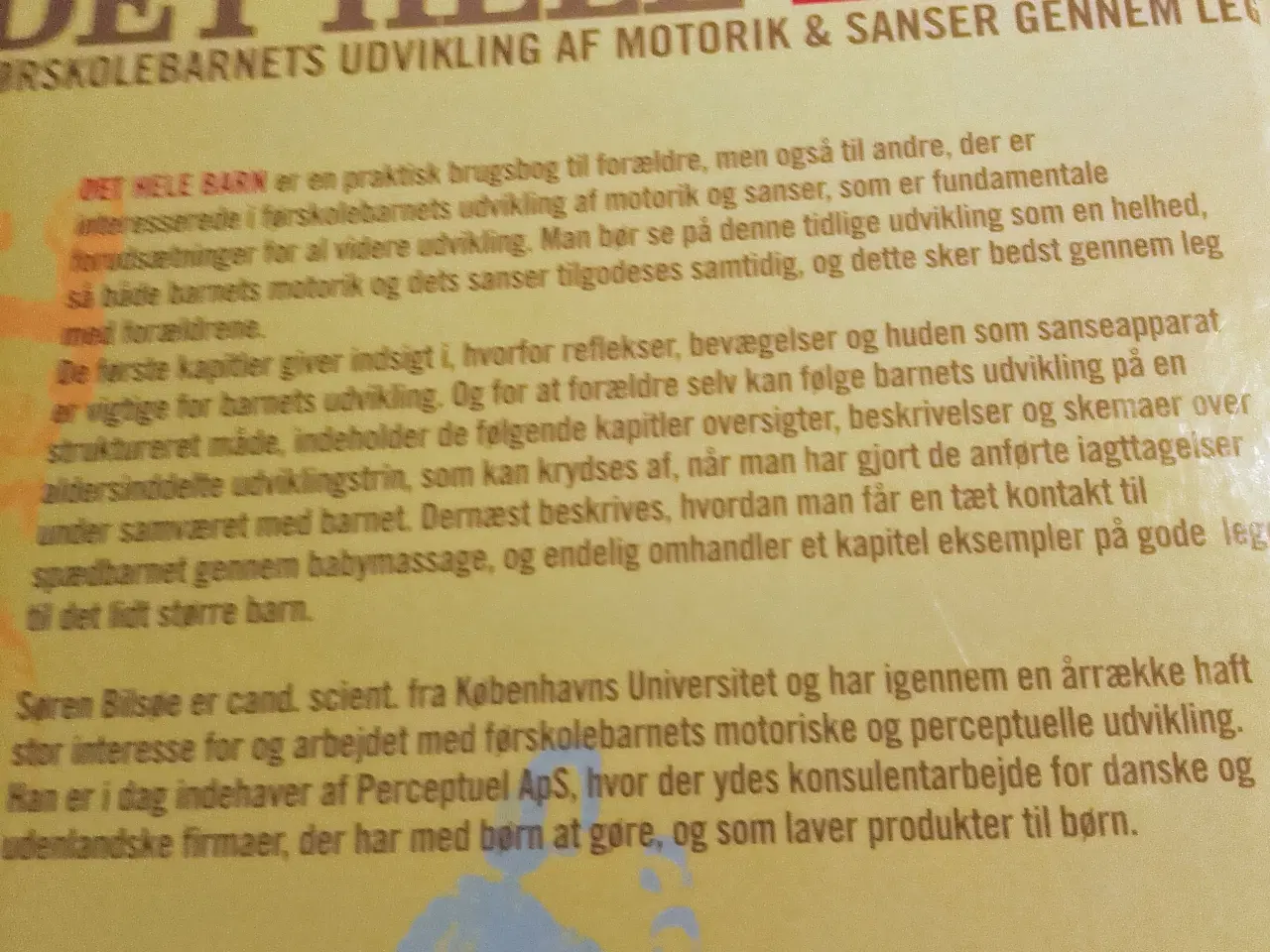 Billede 2 - Søren Bilsøe: Det hele barn. 