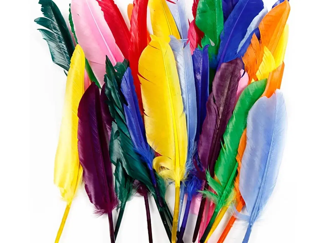 Billede 1 - Indfarvede Fjer 17-20 cm - 250 stk. til Kreativitet