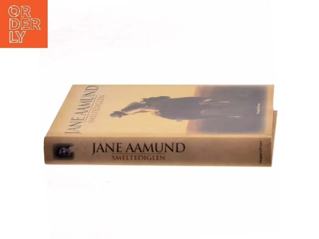 Billede 2 - Smeltediglen : andet bind i slægtskrøniken om de dansk-argentinske indvandrere : roman af Jane Aamund (Bog)