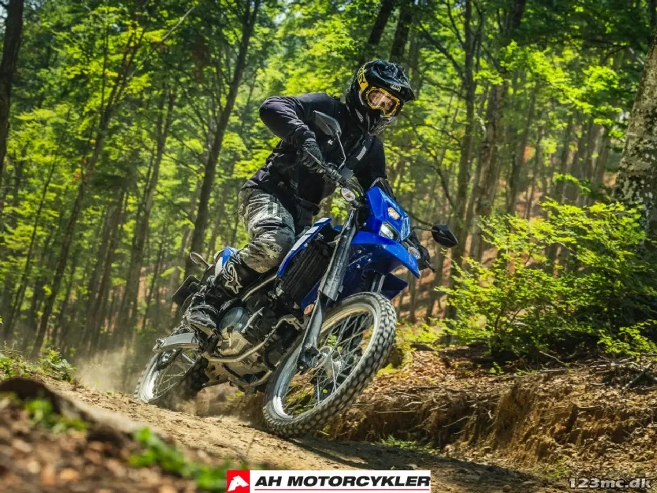 Billede 20 - Yamaha WR 125 R Yamaha Black