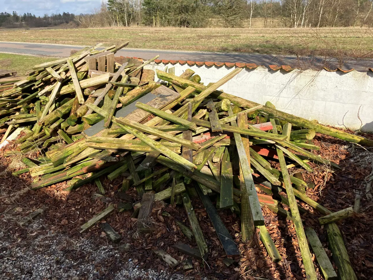 Billede 4 - Affaldstræ - gives væk