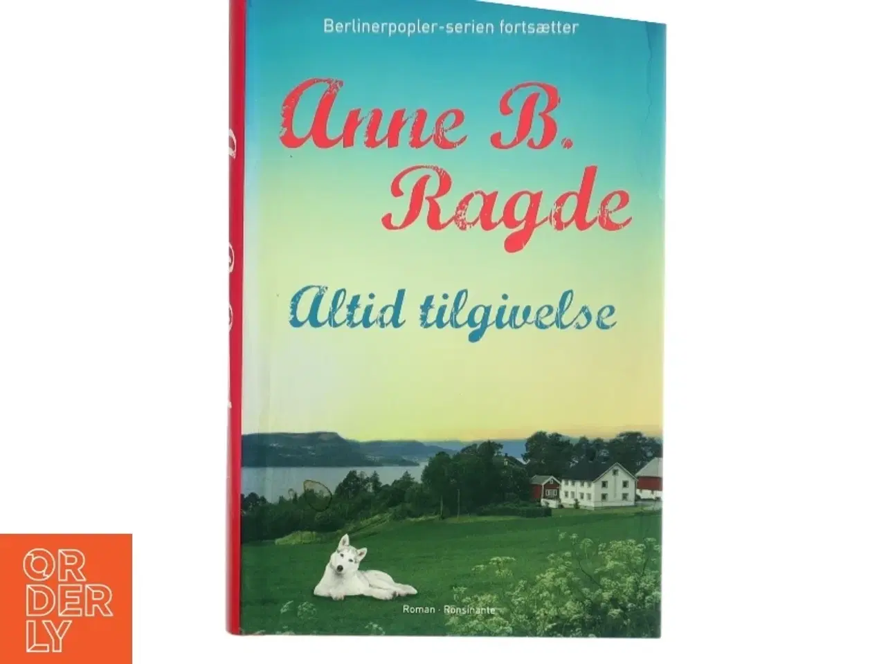 Billede 1 - Altid tilgivelse af Anne B. Ragde (Bog)