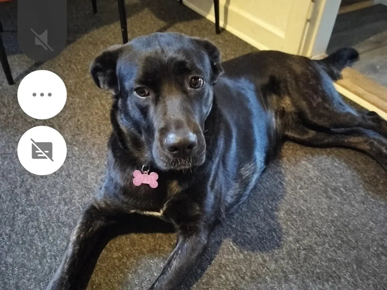 Billede 3 - Shæffer blanding