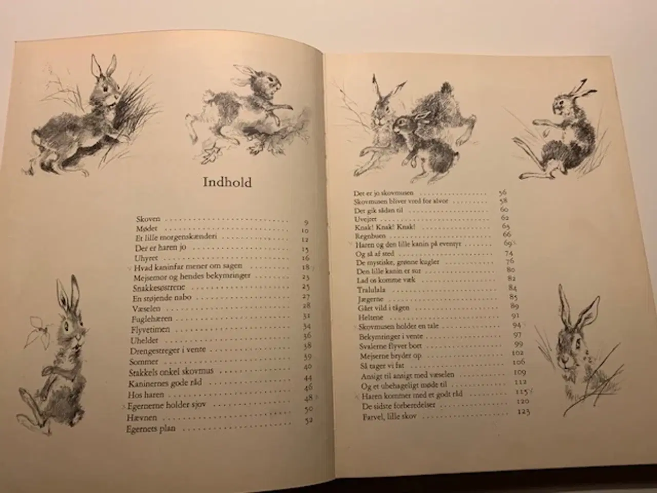 Billede 3 - Haren og den lille kanin på eventyr
