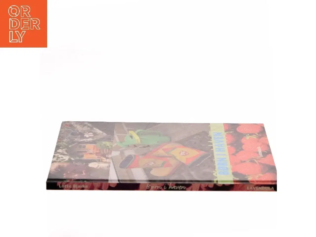 Billede 2 - Børn i haven af Lotte Bjarke (Bog)