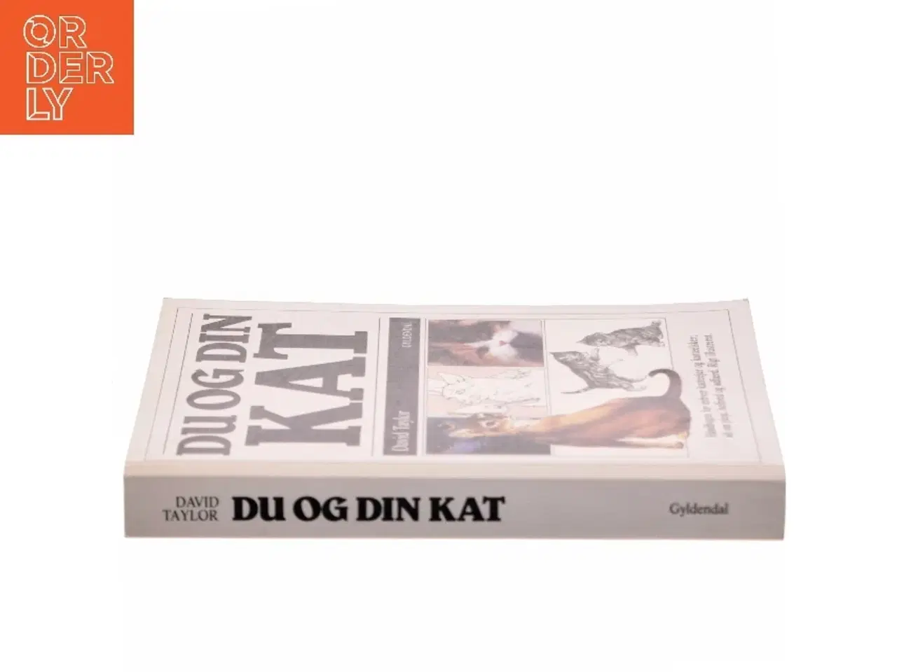 Billede 2 - Du og din kat af David Taylor (Bog)