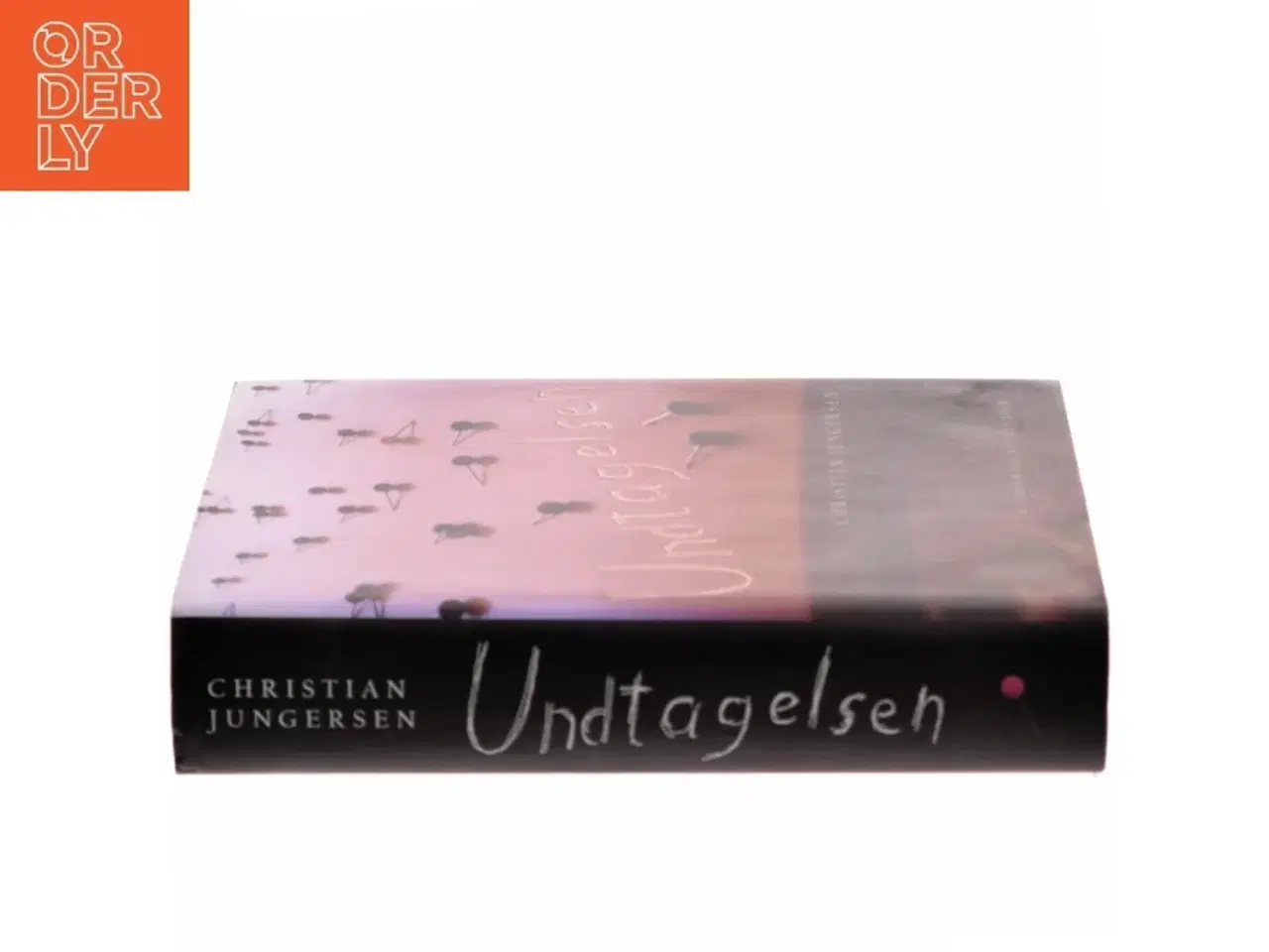 Billede 2 - Undtagelsen : roman af Christian Jungersen (Bog)