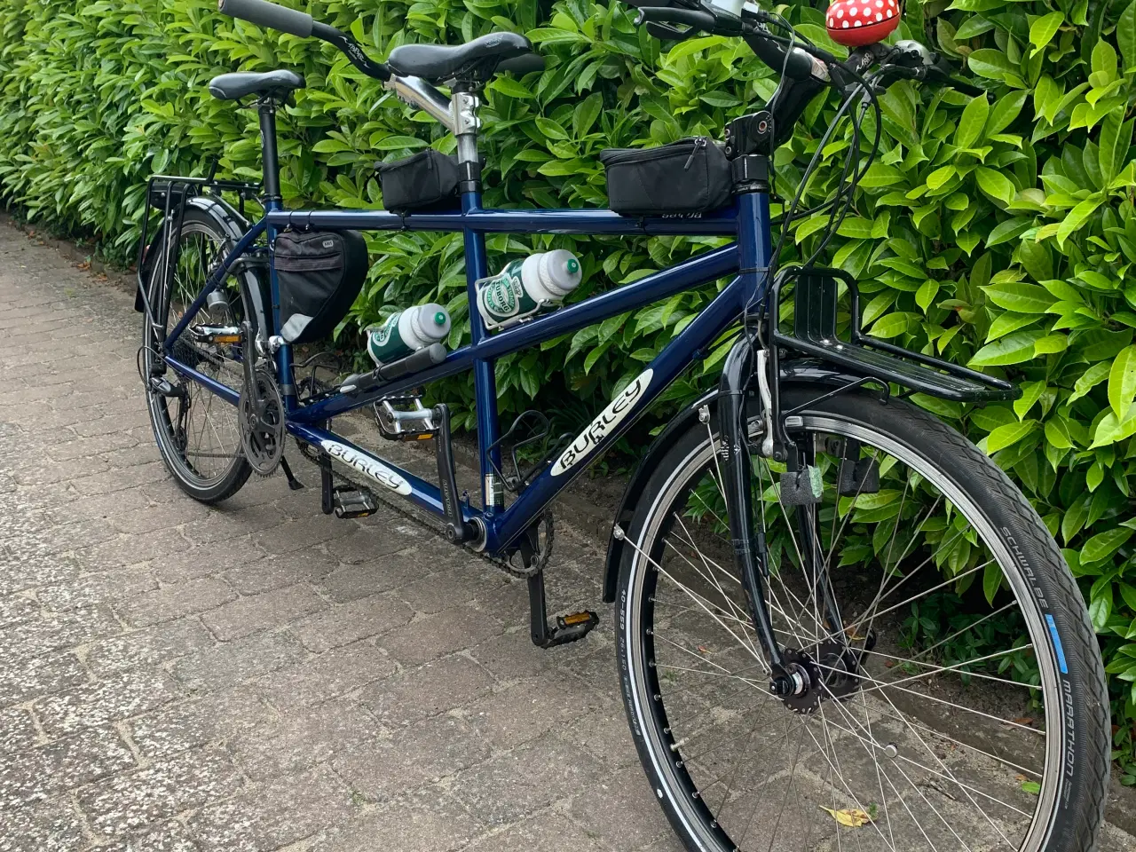 Billede 9 - Touring Tandem Burley "Samba" 24 gear.