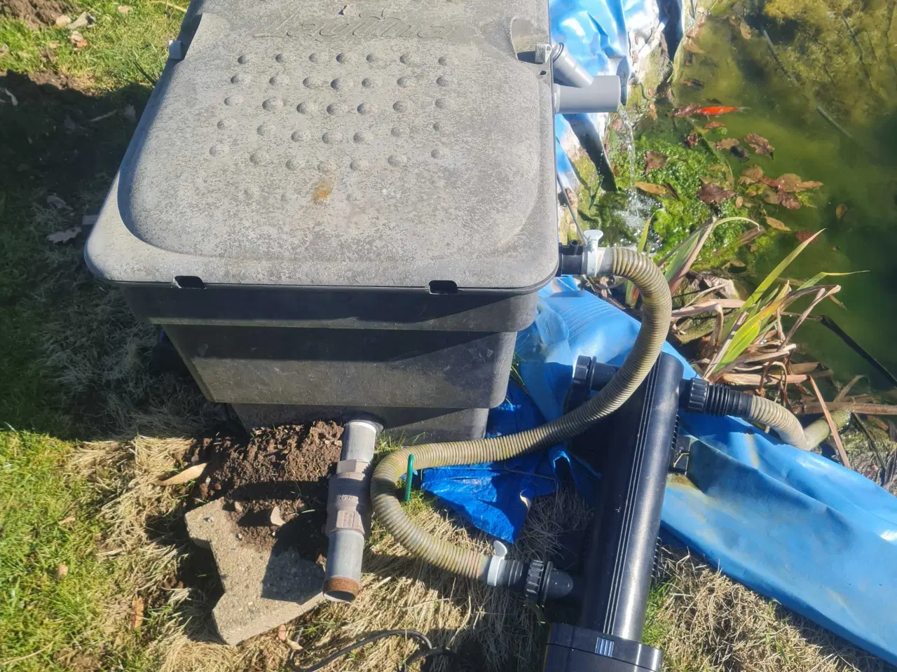 Billede 4 - Komplet filter og pumpe til havedam.