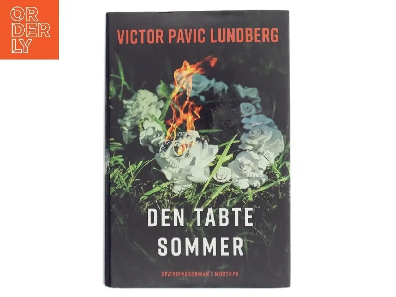 Billede 1 - Den tabte sommer af Victor Pavic Lundberg (f. 1987) (Bog)