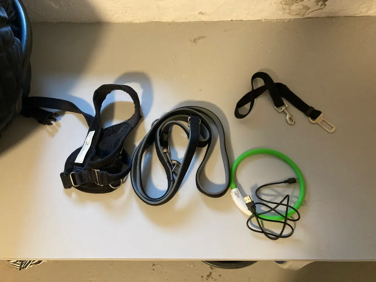 Billede 4 - Udstyr til hund