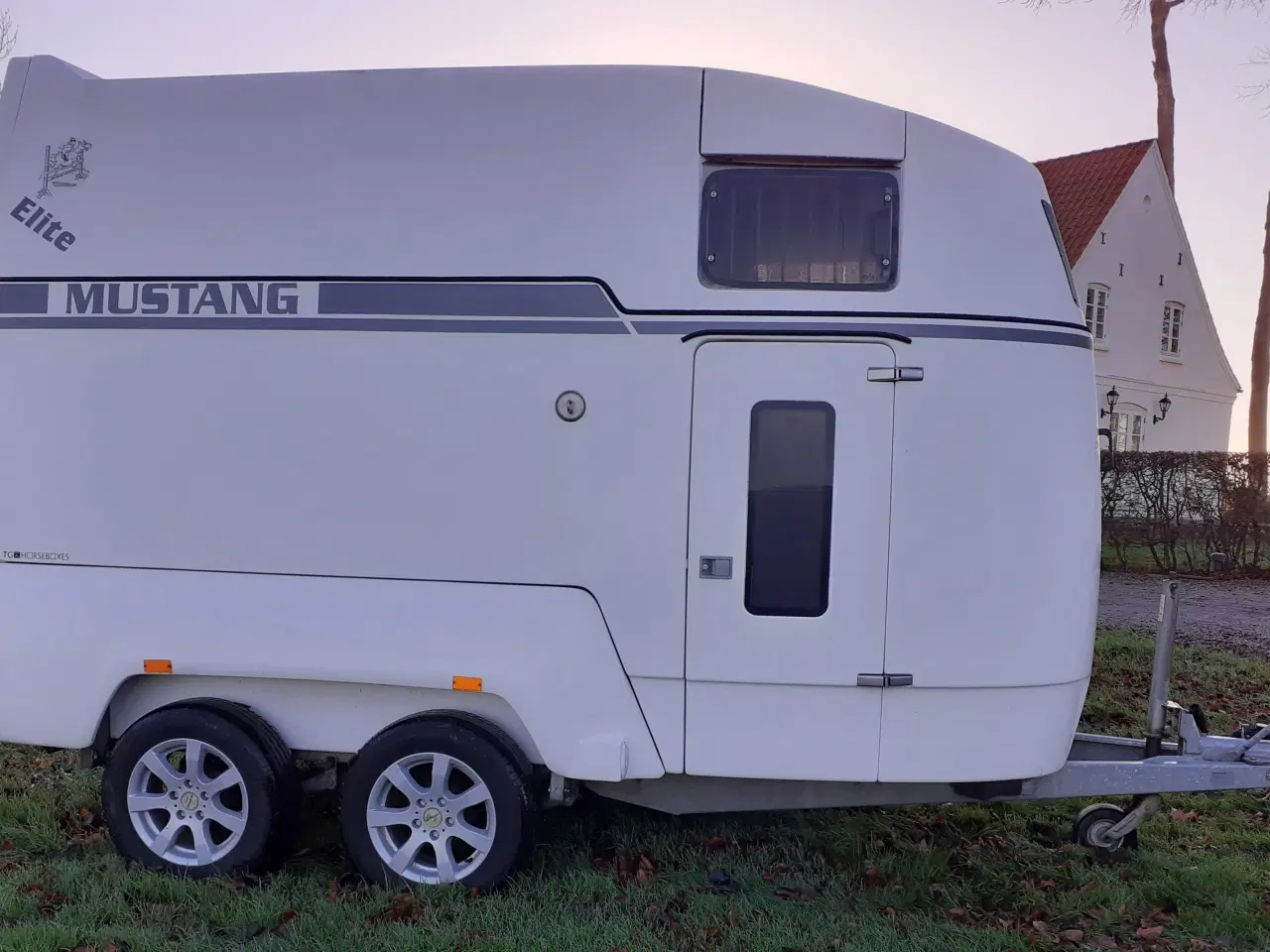 Billede 2 - Mustang Hestetrailer Elite Hvid 2018