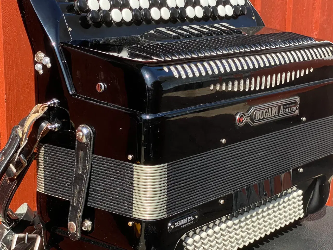 Billede 5 - Bugari Armando Seniorfisa Special – Topklasse knap