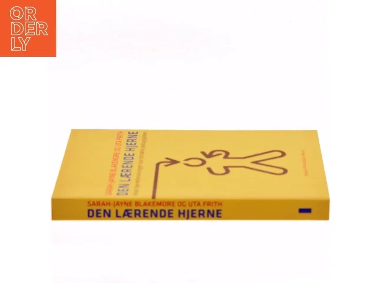 Billede 2 - Den lærende hjerne : hvad hjerneforskningen kan fortælle pædagogikken (Bog)