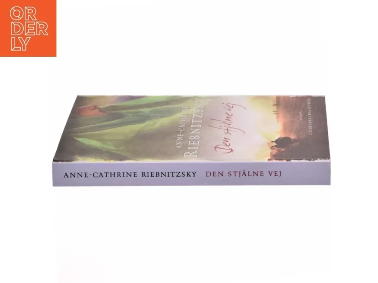 Billede 2 - Den stjålne vej af Anne-Cathrine Riebnitzsky (Bog)