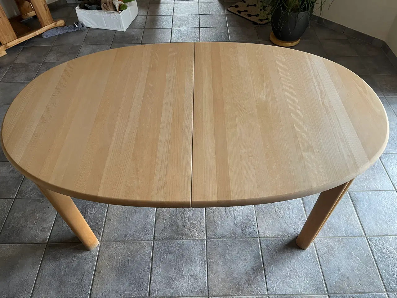 Billede 3 - Skovby - sæbebøg