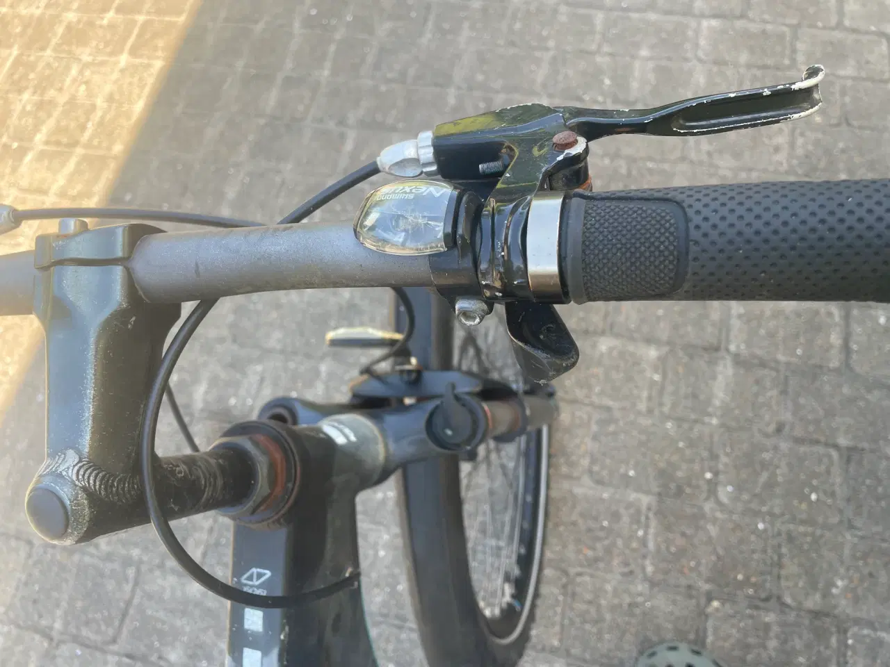 Billede 2 - Cykler kildmoes