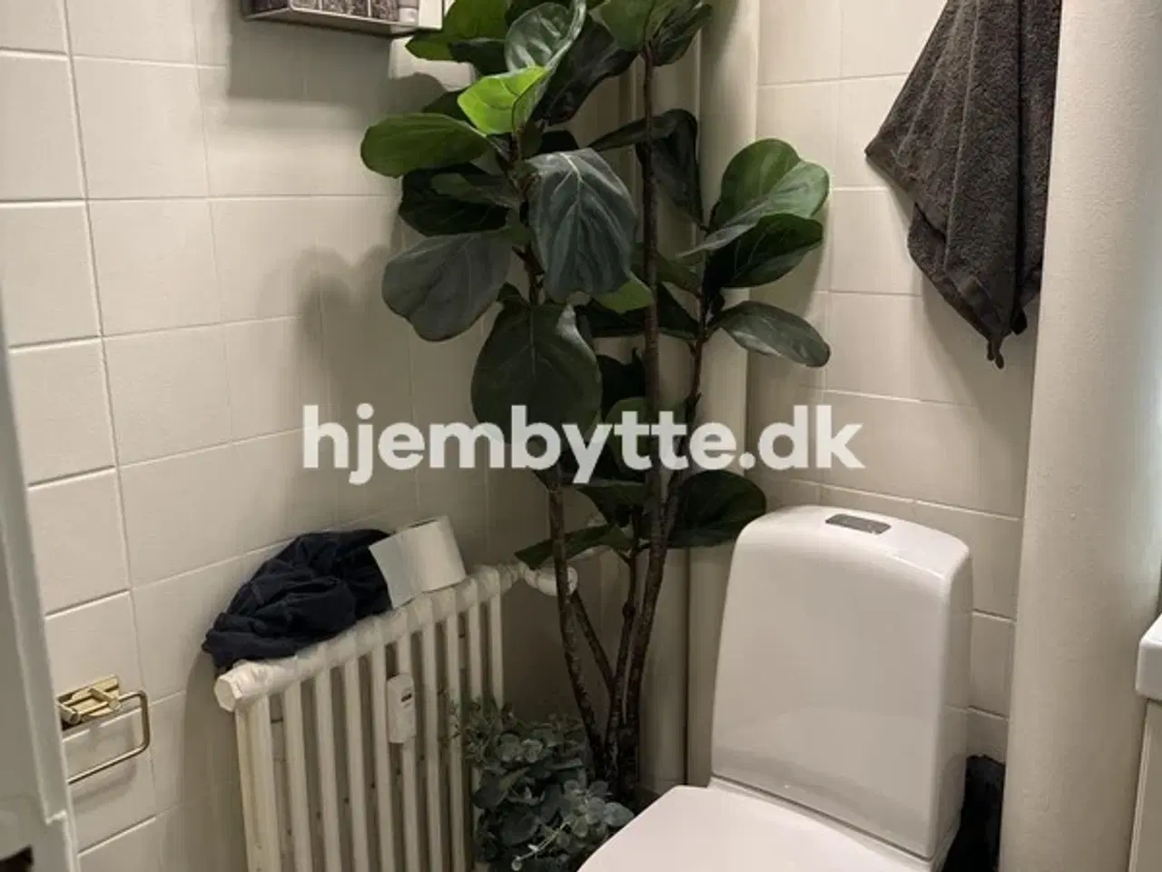 Billede 8 - Hjembytte - Nyborggade