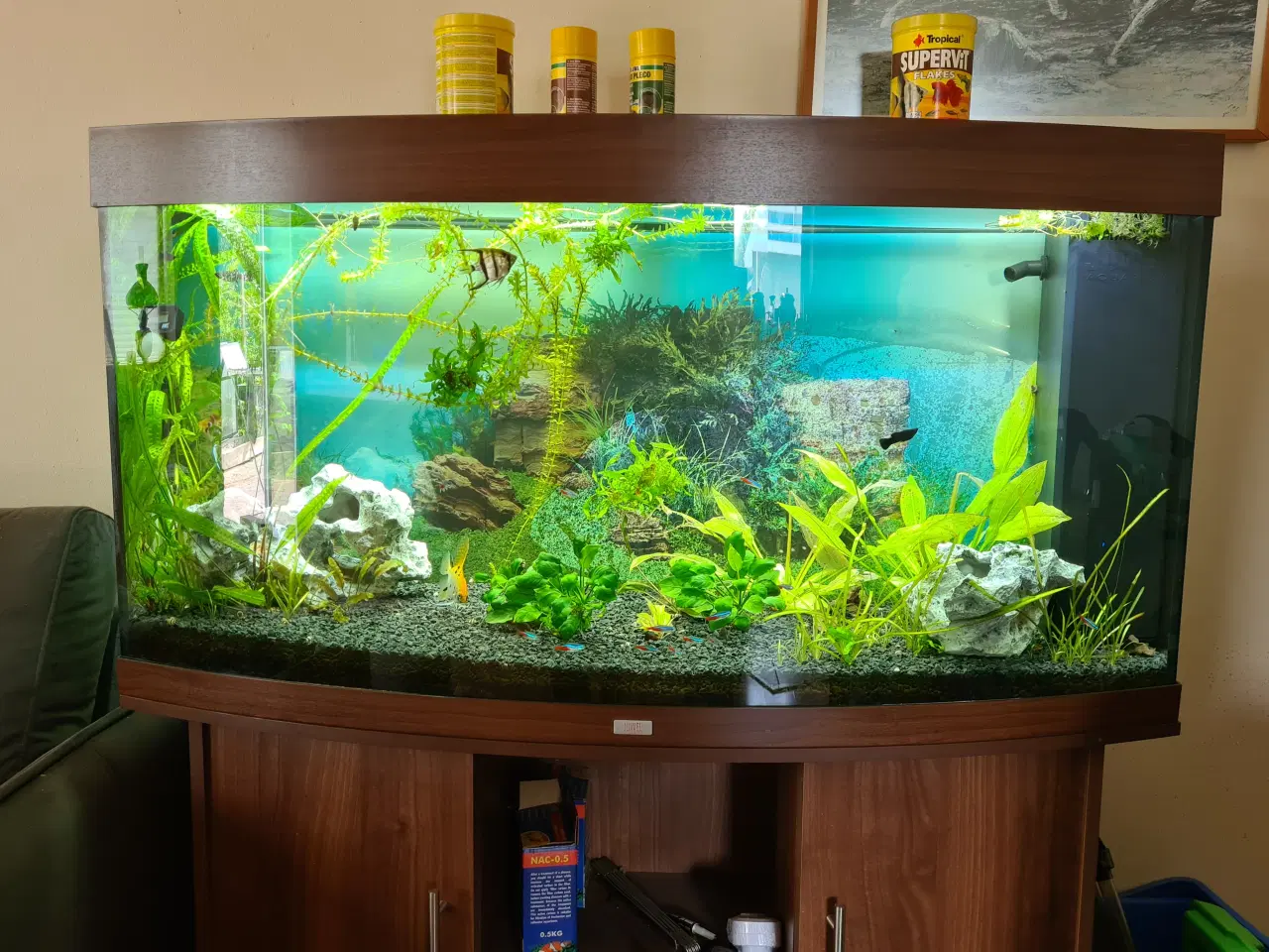 Billede 4 - Juvel Akvarie 350 ltr.