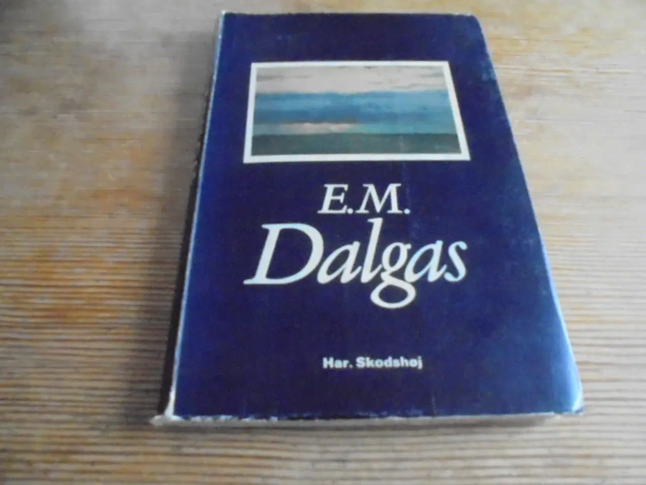 Billede 1 - E.M. Dalgas – Hedens betvinger – Biografi  