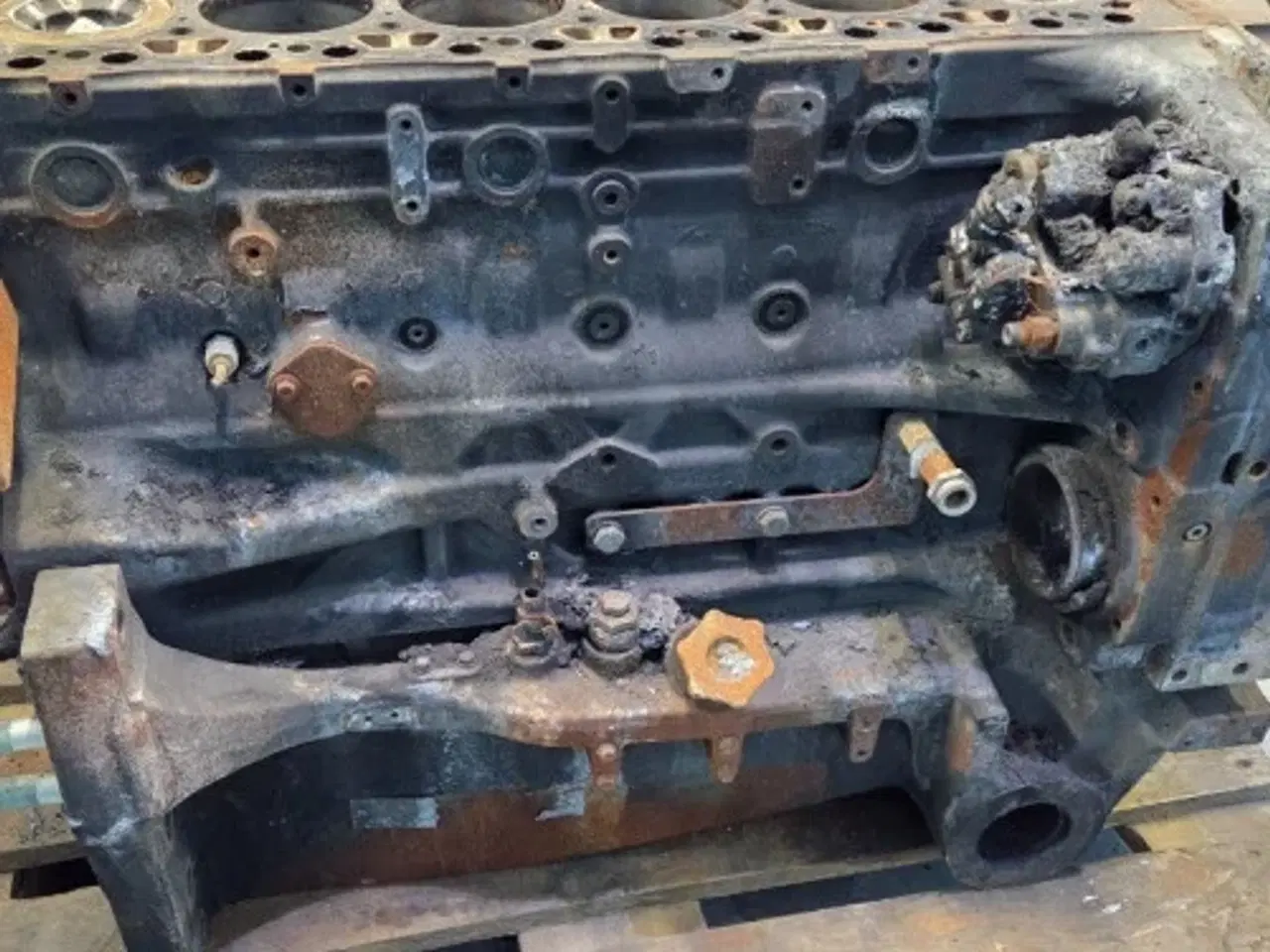 Billede 9 - Iveco F4DGE617D*V007 Motor 51485058