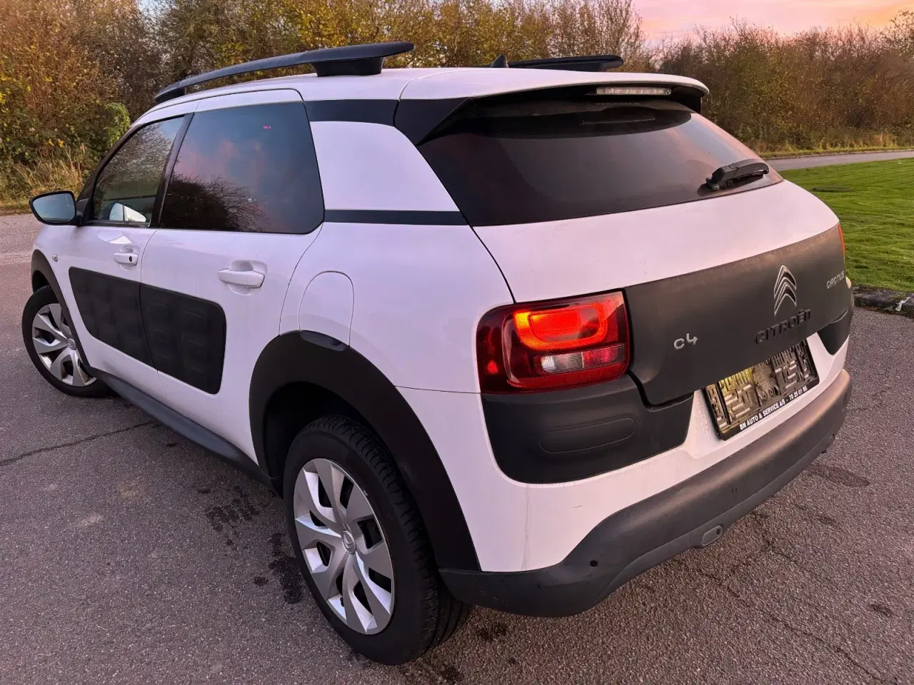 Billede 4 - Citroën C4 Cactus 1,6 BlueHDi 100 Shine Edition ETG6 Van