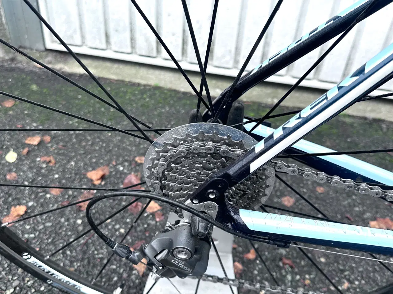 Billede 18 - Trek Madone 3.1 ULTEGRA – Carbon Racercykel (52 cm