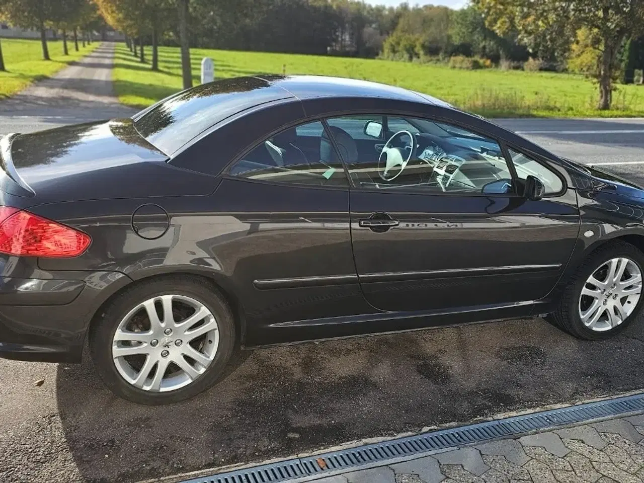 Billede 6 - Peugeot 307 2,0 16V CC