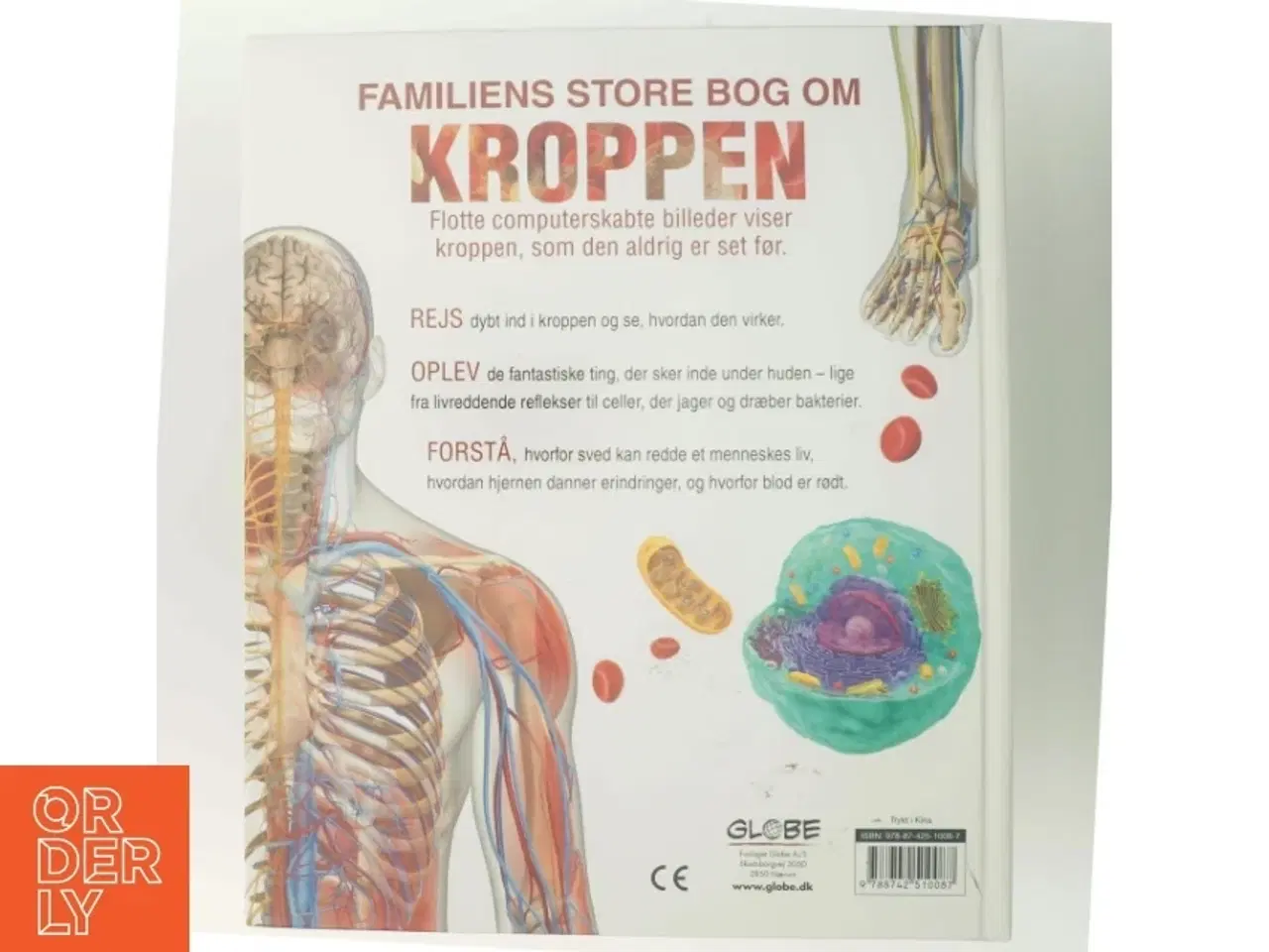 Billede 2 - Familiens store bog om kroppen af Smiljka Surla (Bog)