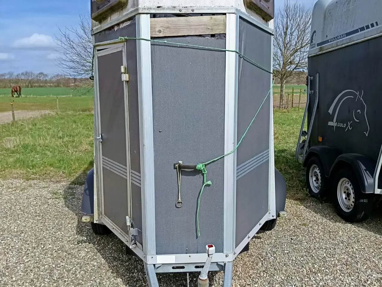 Billede 2 - Single hestetrailer 