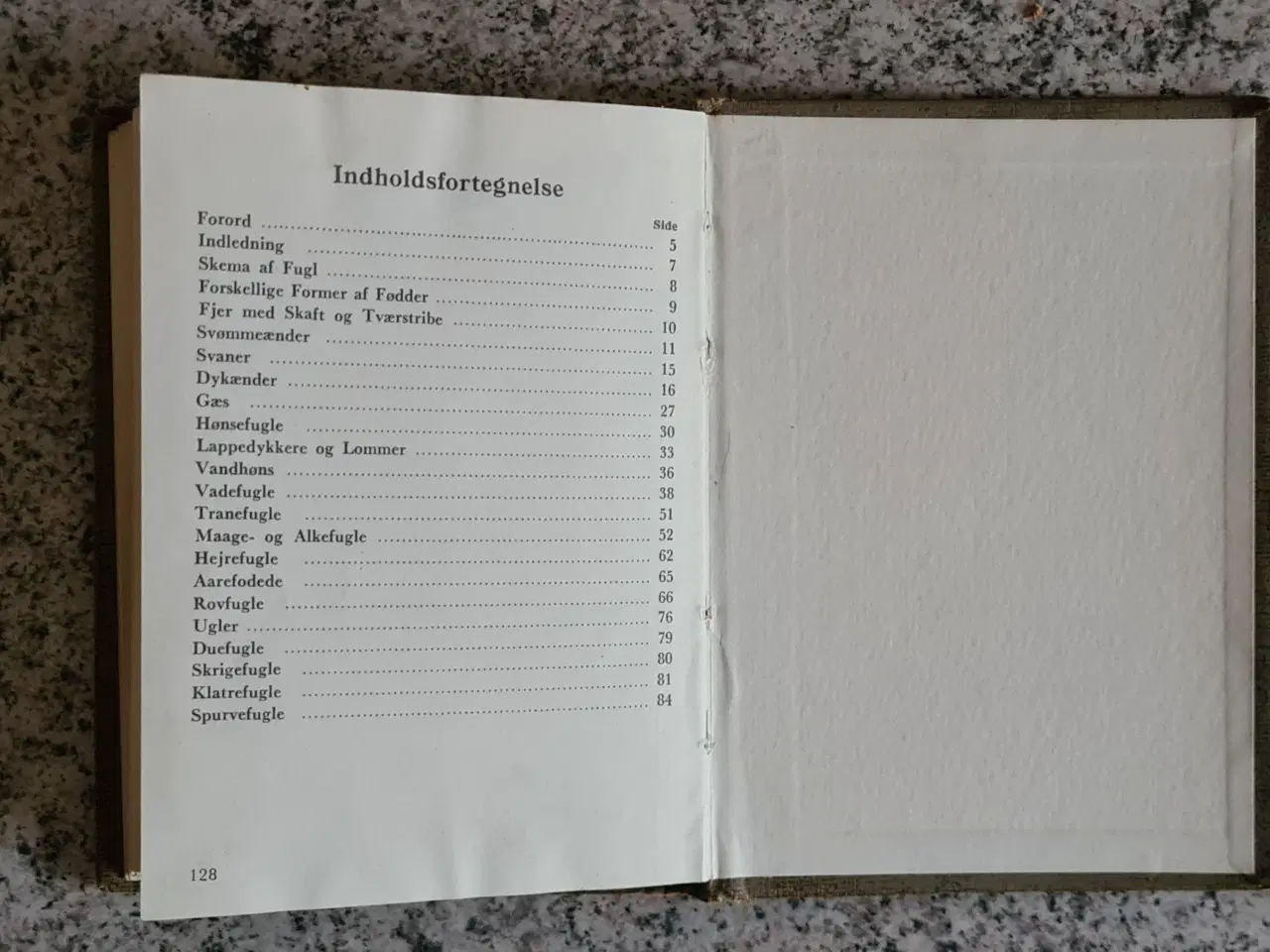 Billede 10 - Fugle Atlas over danske fugle