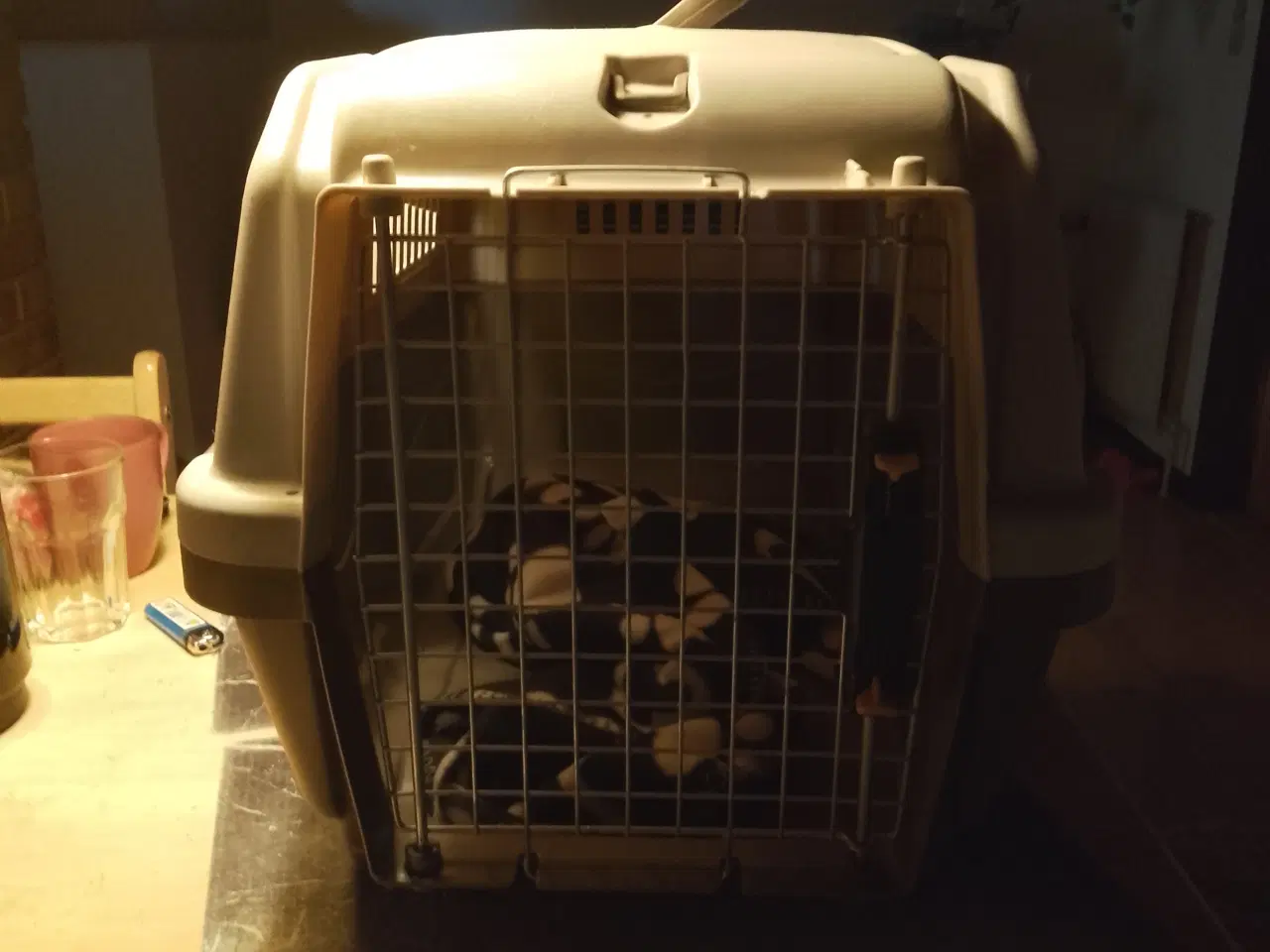 Billede 1 - Transportkasse til små hunde