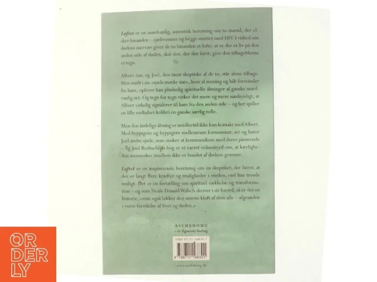 Billede 3 - Løftet : en autentisk beretning om tegn på liv efter livet af Joel Rothschild (Bog)