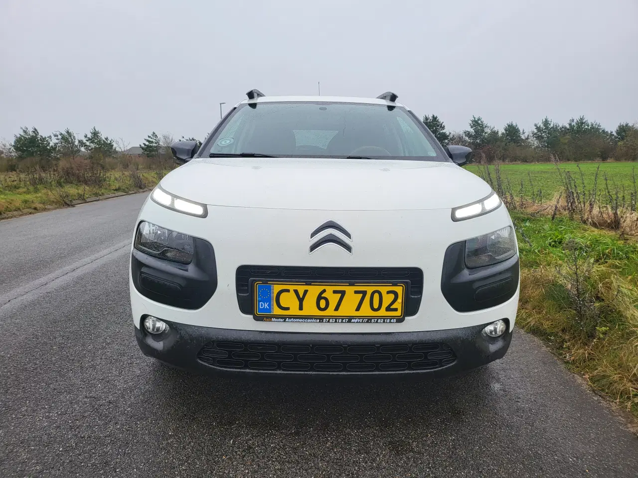 Billede 5 - Momsfri C4 cactus med automatgear 