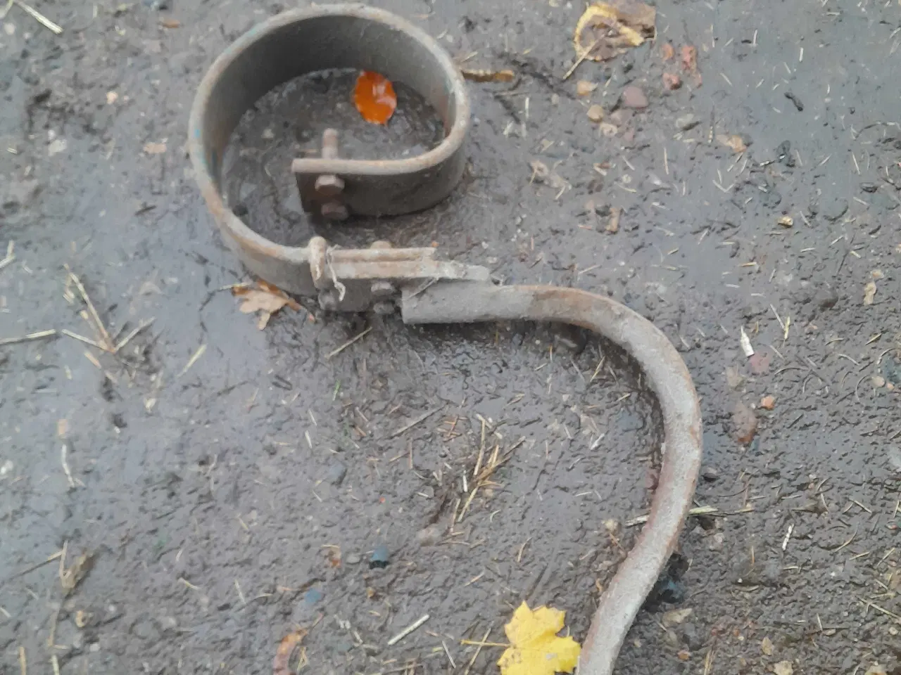 Billede 2 - Marsk stig