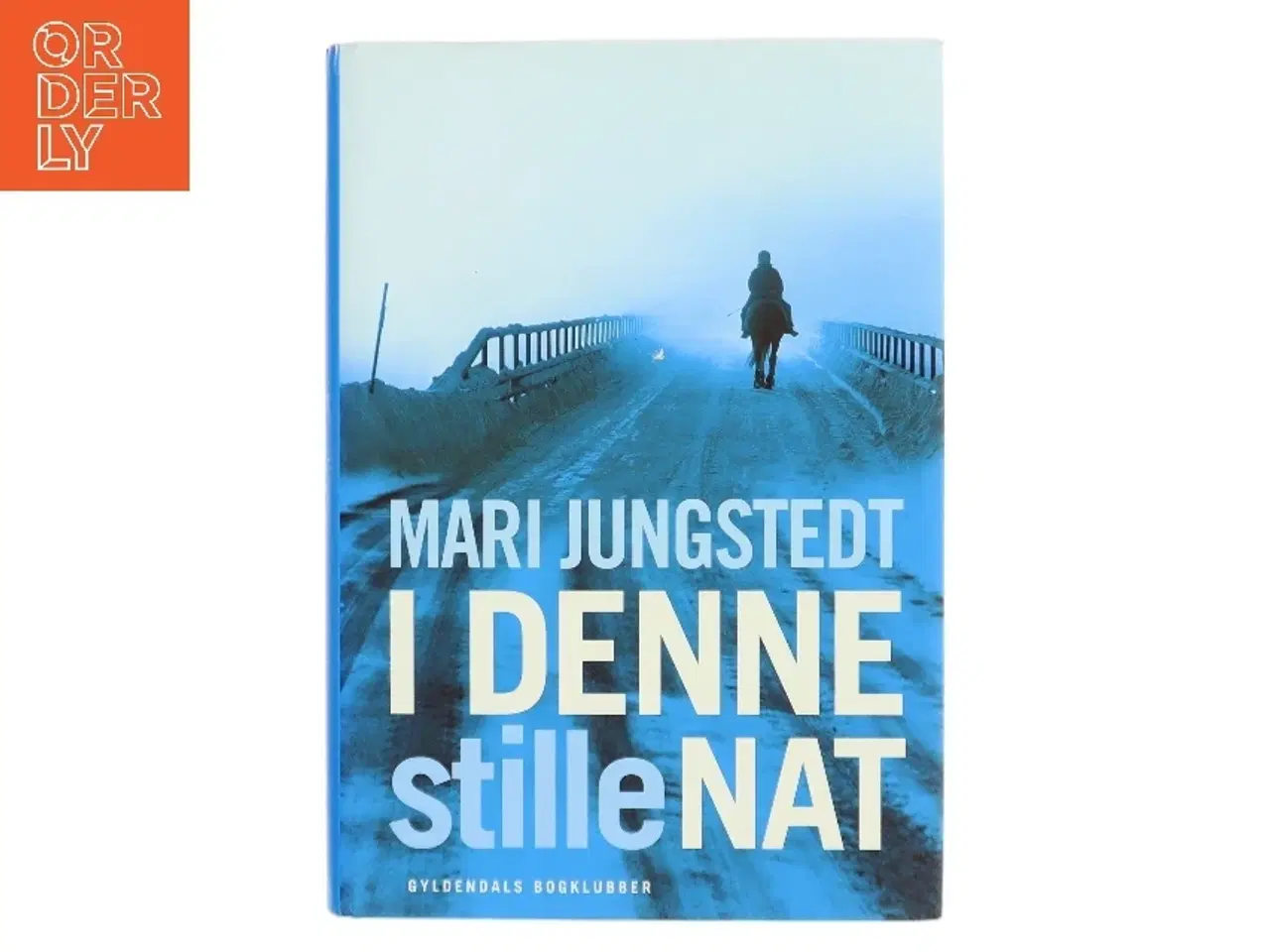 Billede 1 - I denne stille nat : roman af Mari Jungstedt (Bog)