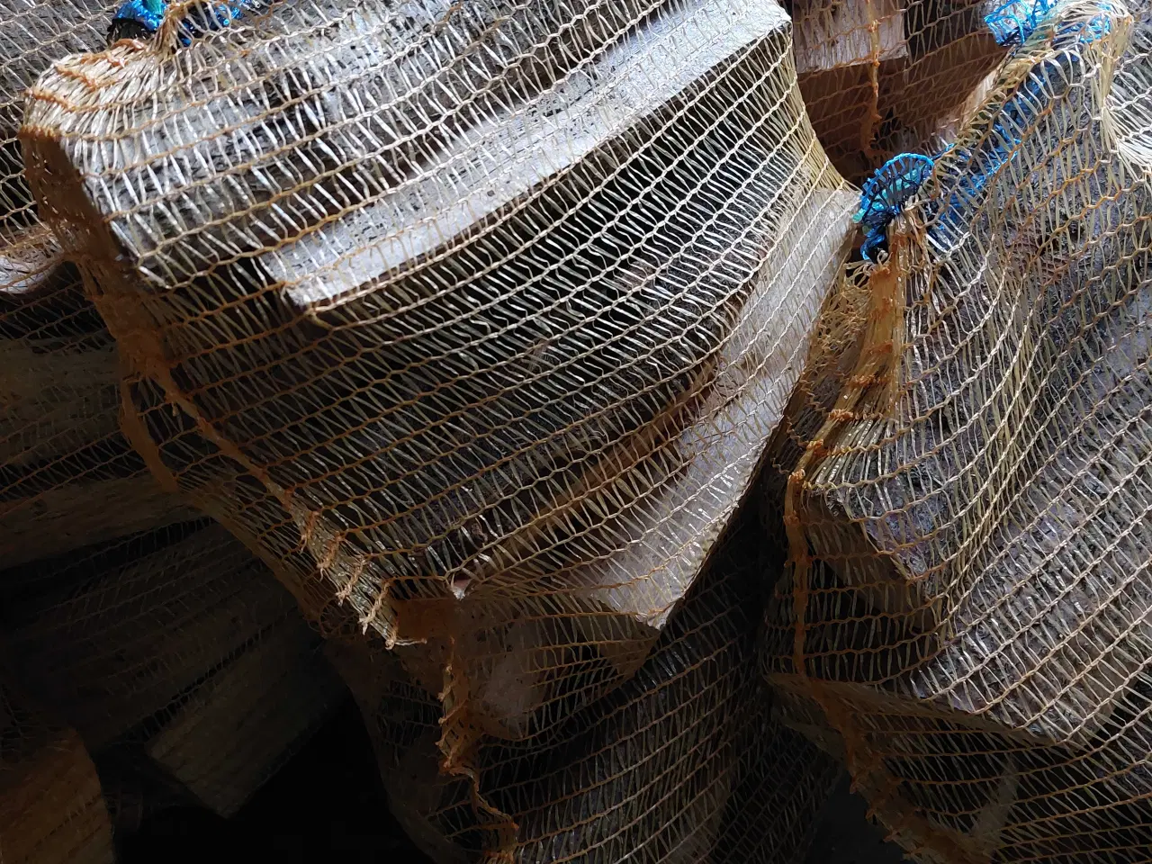 Billede 2 - Tørt løvtræsbrænde