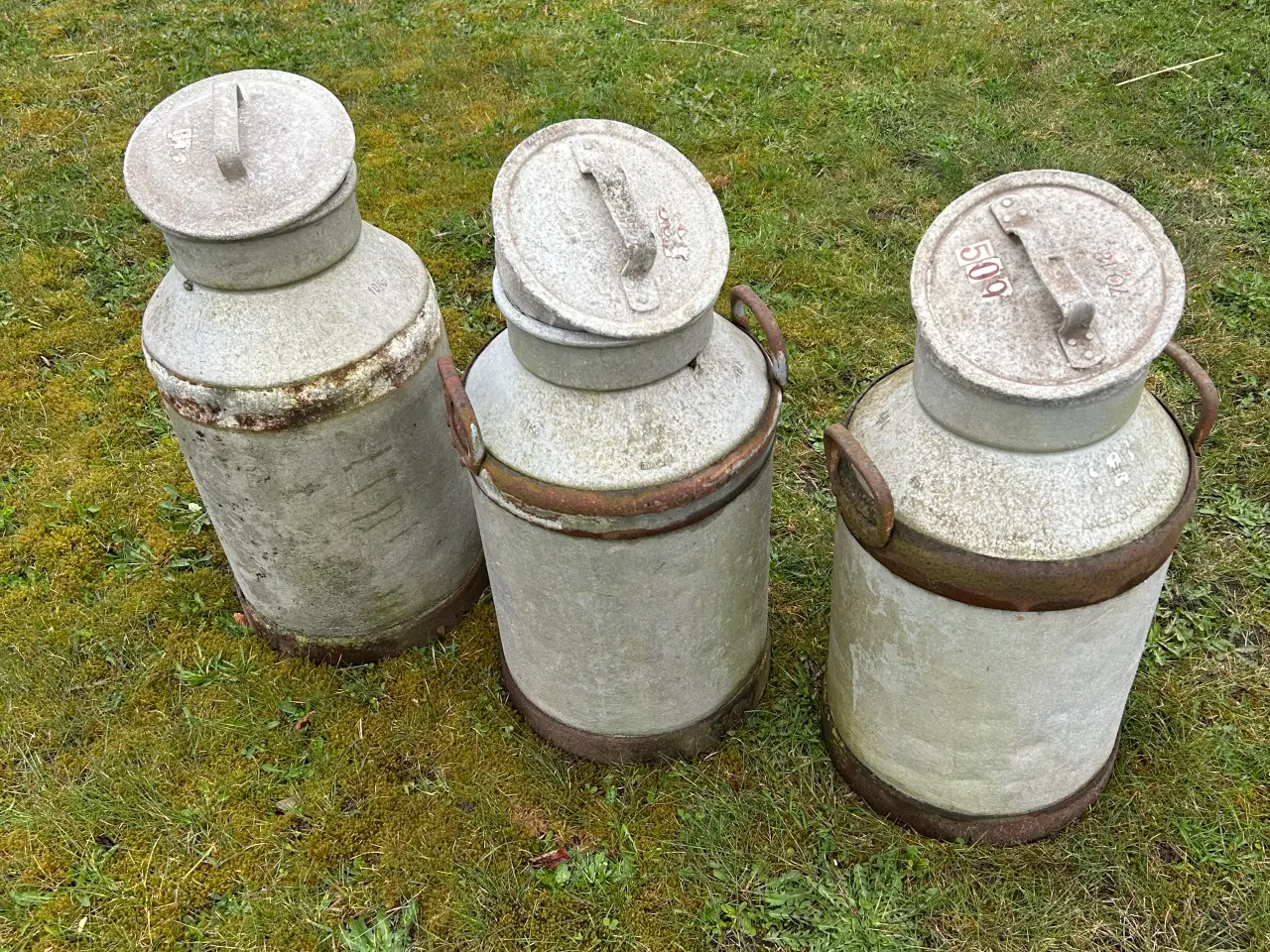 Billede 1 - Mælkejunger med låg 