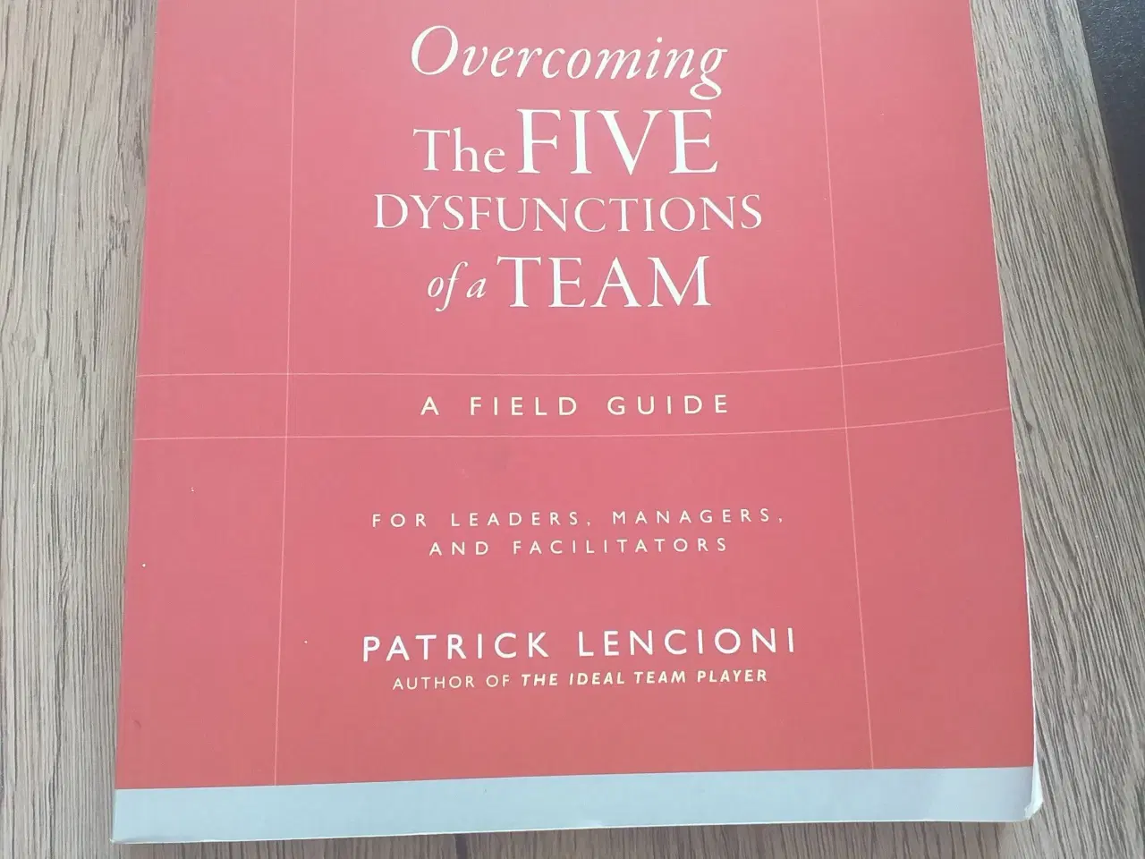Billede 1 - Overcoming the five dysfunctions of a team