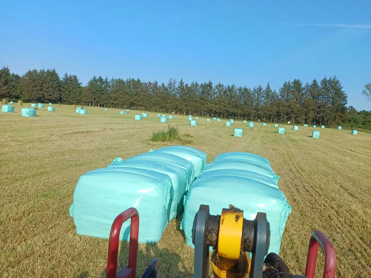 Billede 5 - Wrap til heste af hestegræsblanding.