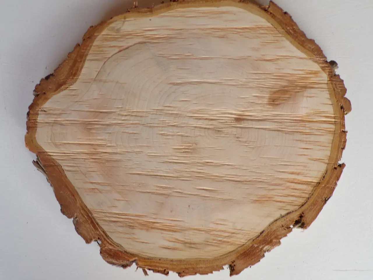 Billede 1 - NY Thuja Træskive med bark 30 cm lang